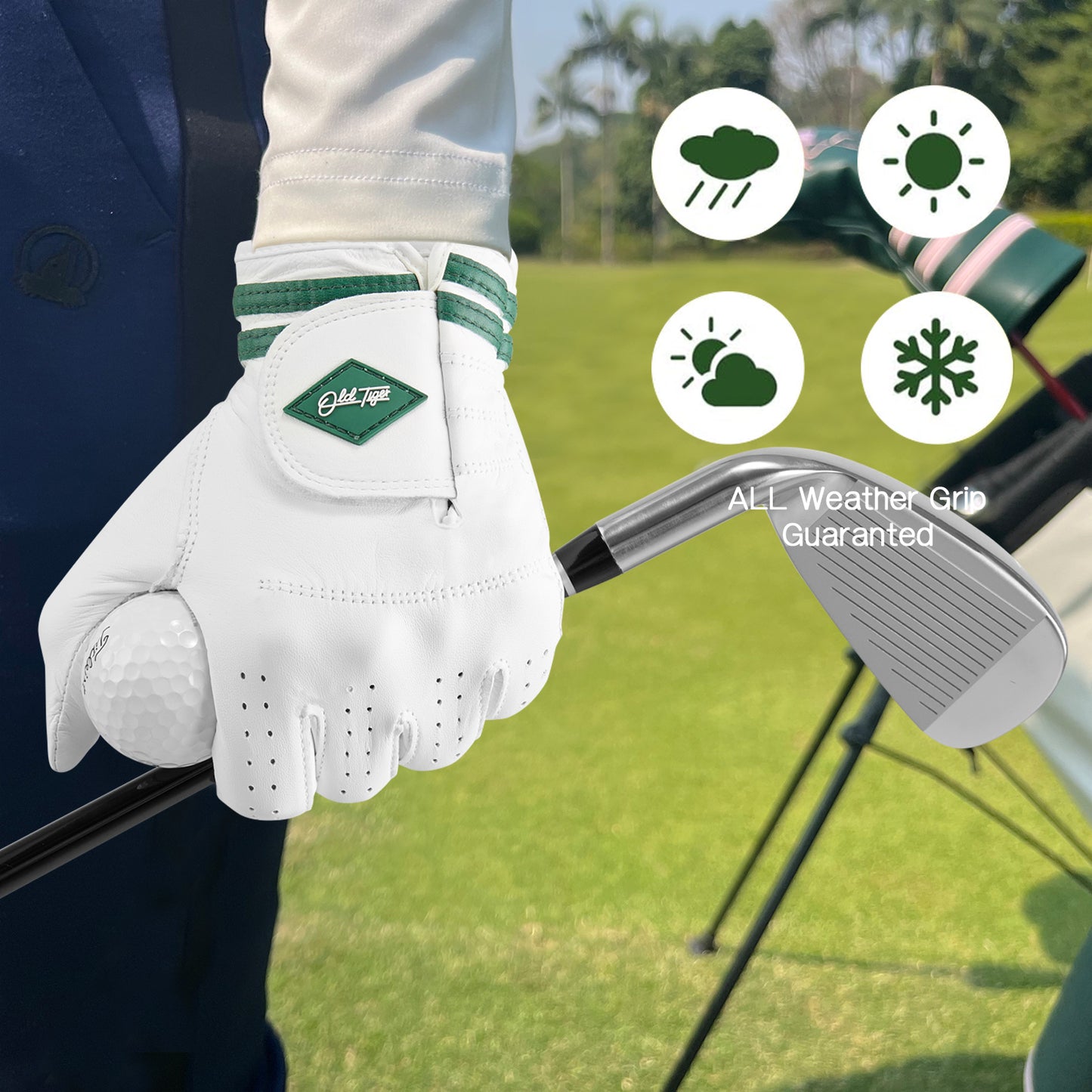 Men's Golf Glove Left Hand All Weather Grip AAA Cabretta Leather Soft Glove for Premium Performance